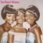 Rare Motown sample pack cover