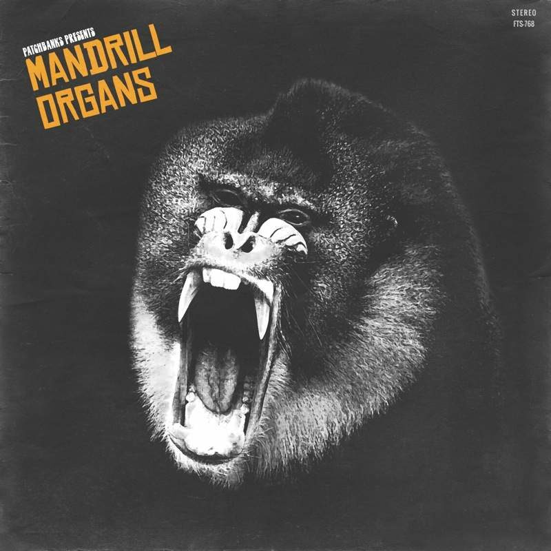 mandrill_R72_800x800__1591311562 mandrill_R72_800x800__1591311562