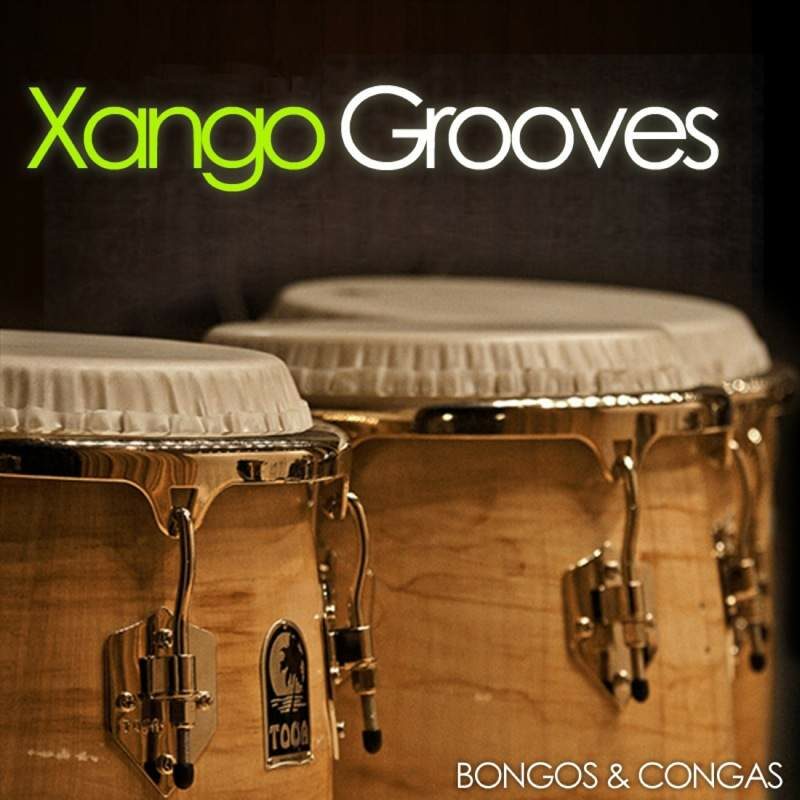 xangogrooves_72R_800x800__1579575580 xangogrooves_72R_800x800__1579575580
